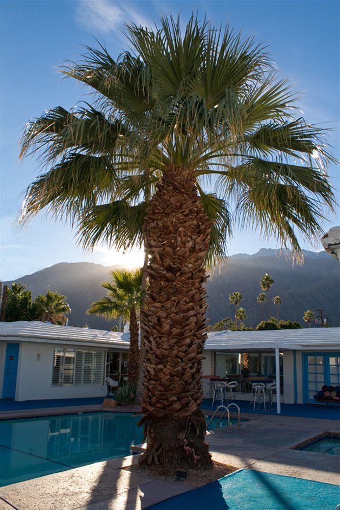 Palm Springs Rendezvous Hotel Exterior photo